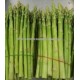 Asparagus